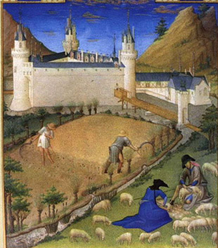 Middle Ages - sheep shearing