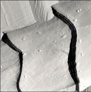 Fiber magnified several milion times